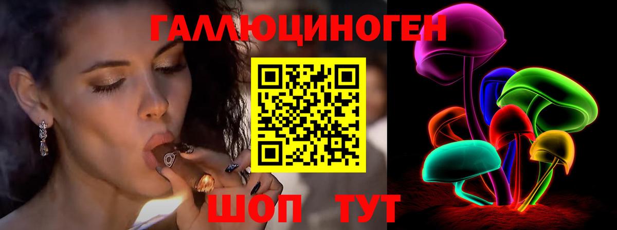 Йошкар-Ола  даркнет сайт  Вход с VPN  Псилоцибиновые грибы GOLDEN TEACHER 